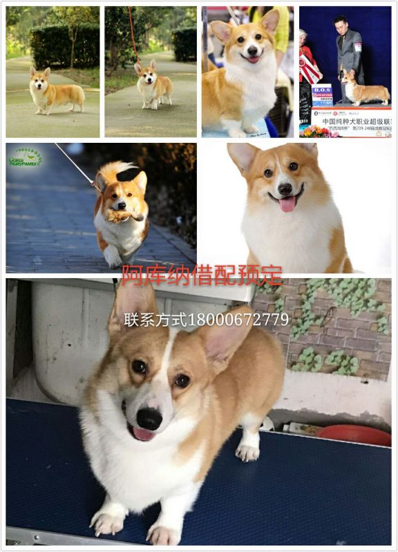 QQ图片20170203162058.jpg