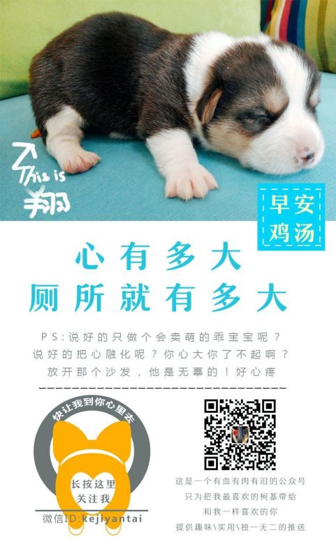 QQ图片20170117095514.jpg