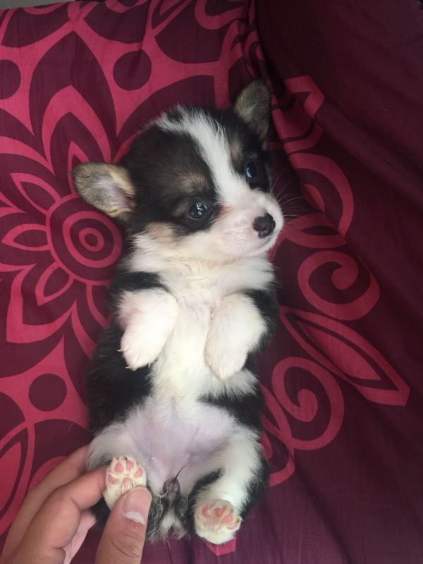 26.jpg