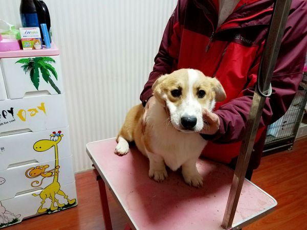 QQ图片20170107212725.jpg