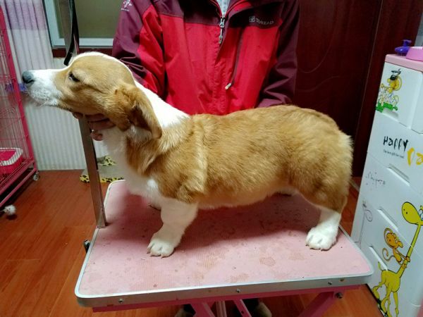 QQ图片20170107212750.jpg