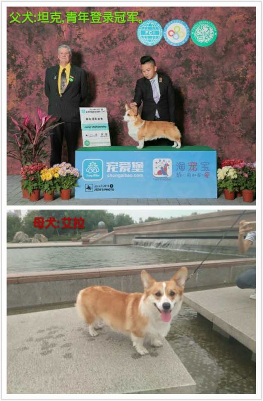 1cec35a60c165868d5031cc103afbdb.jpg