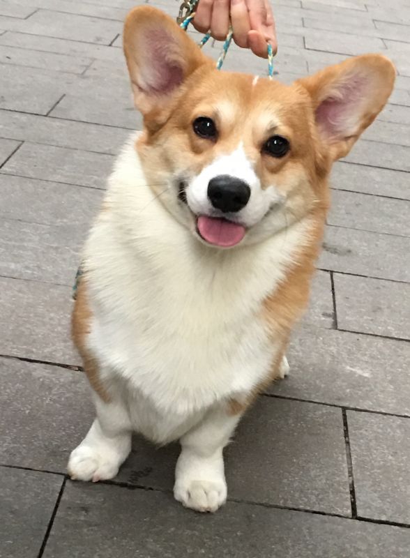 image.jpeg