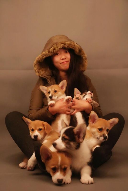 QQ图片20170116144528.jpg