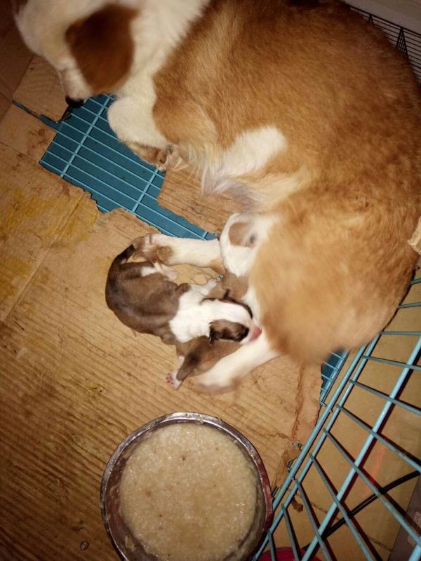 QQ图片20170116221116.jpg