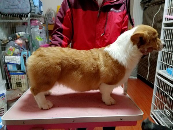 QQ图片20170107212801.jpg