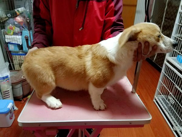 QQ图片20170107212741.jpg