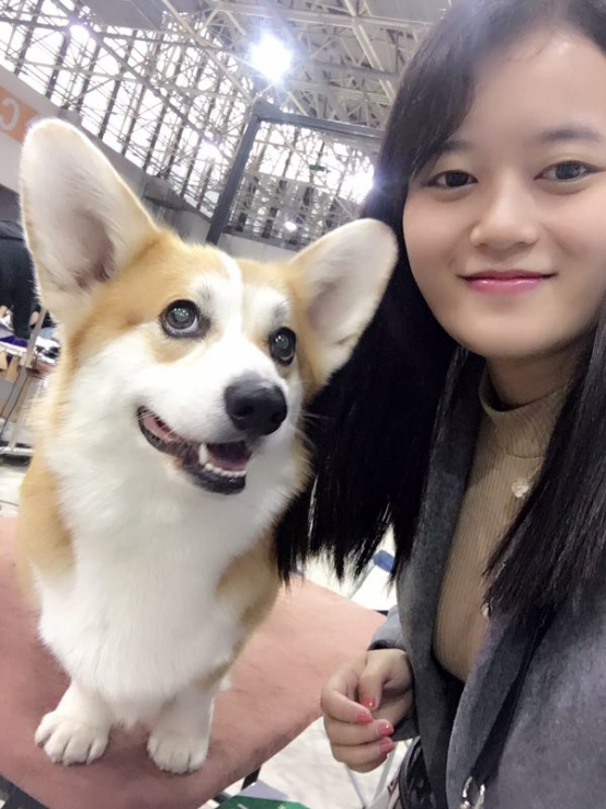 图片19.png