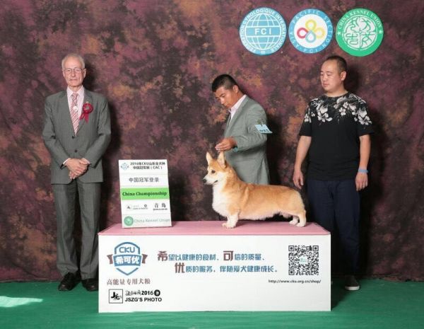 91196