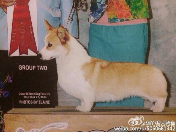 QQ图片20170122173634.jpg