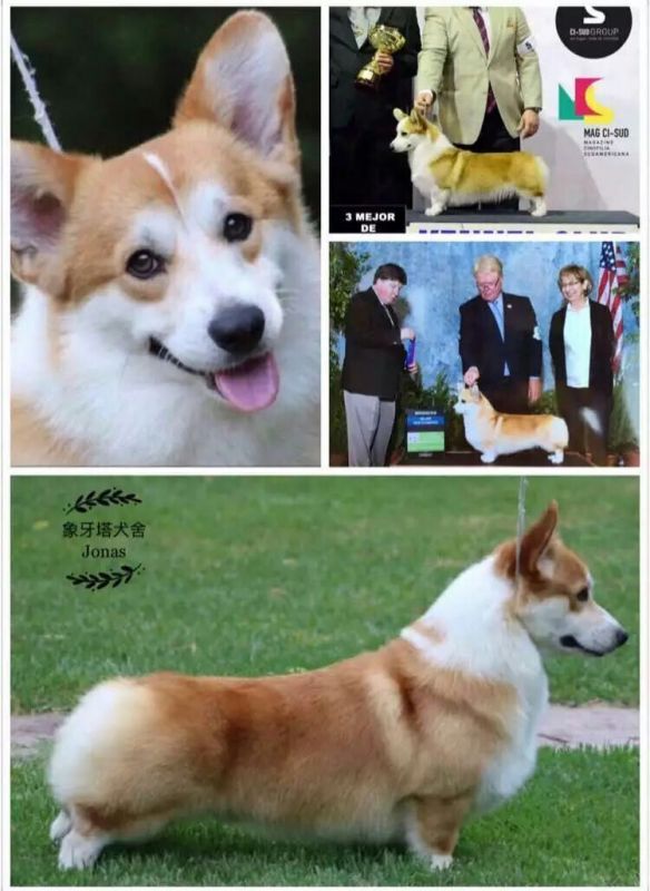QQ图片20170122173638.jpg