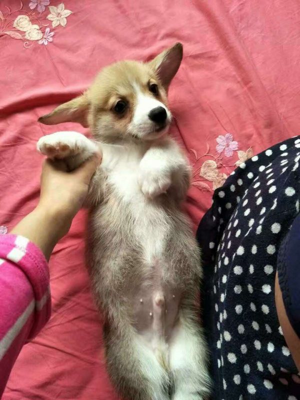 全身