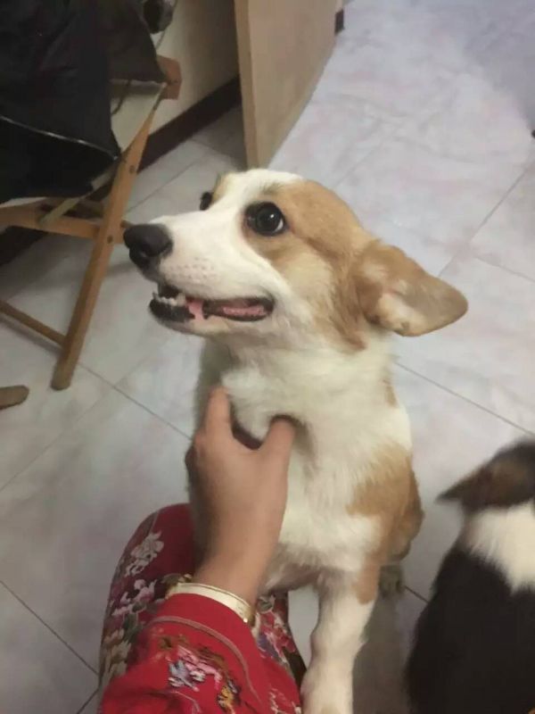 妈妈