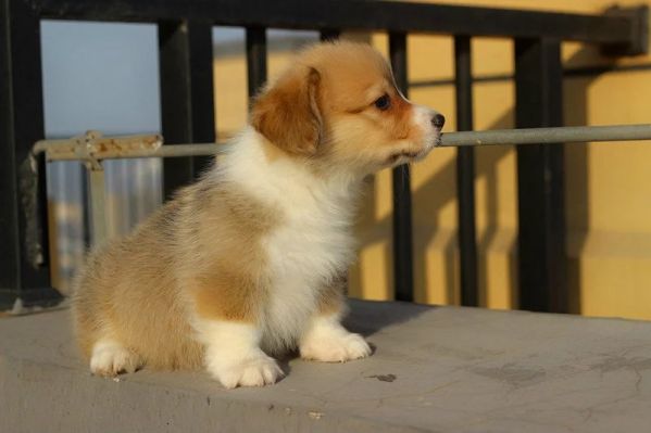 psb.jpg