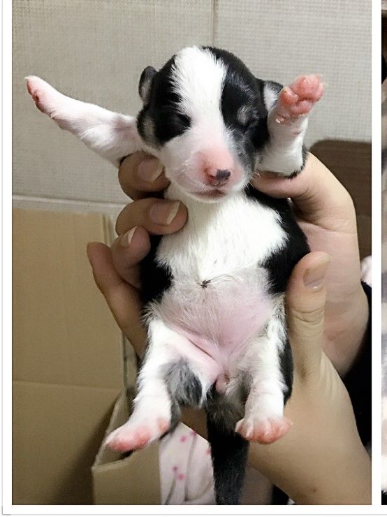 2017-02-04 191021.jpg