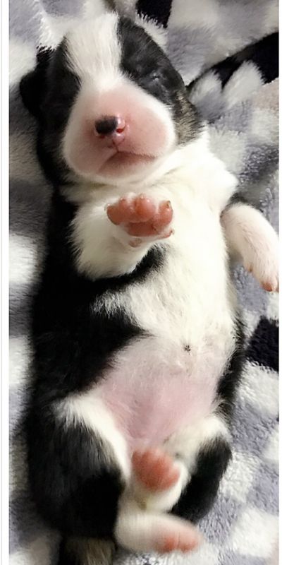 2017-02-04 190642.jpg