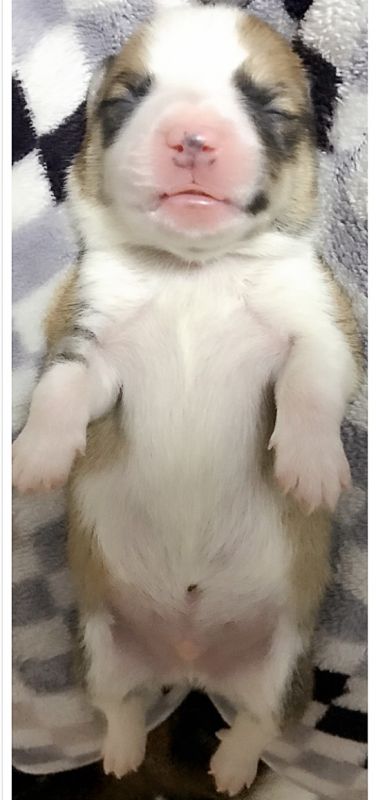 2017-02-04 190506.jpg