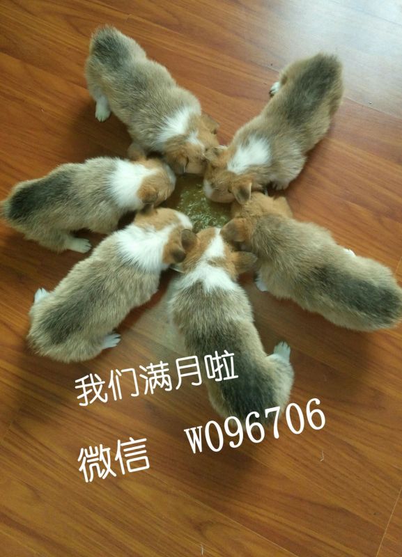 QQ图片20170211141013.jpg