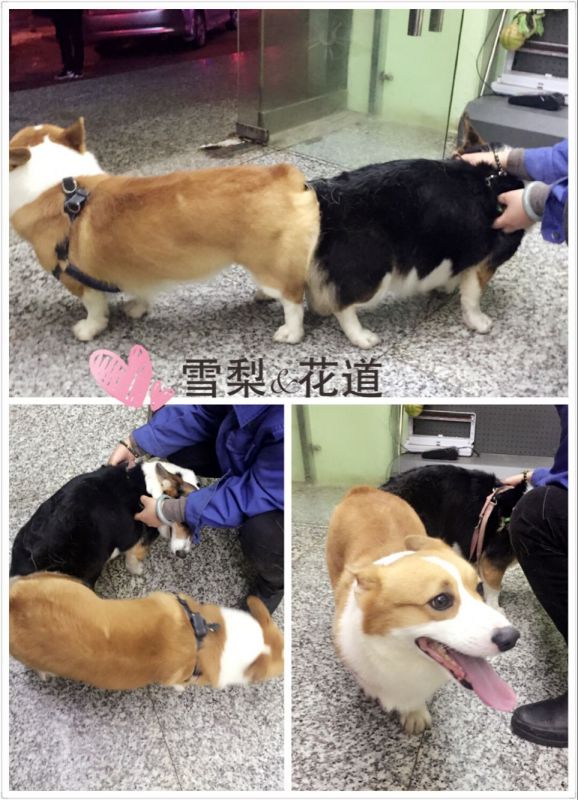 QQ图片20161230152309.jpg