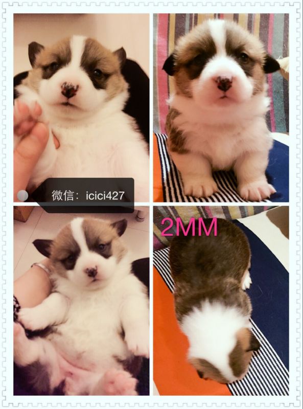 QQ图片20170214121625.jpg