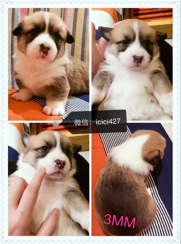 QQ图片20170214121630.jpg