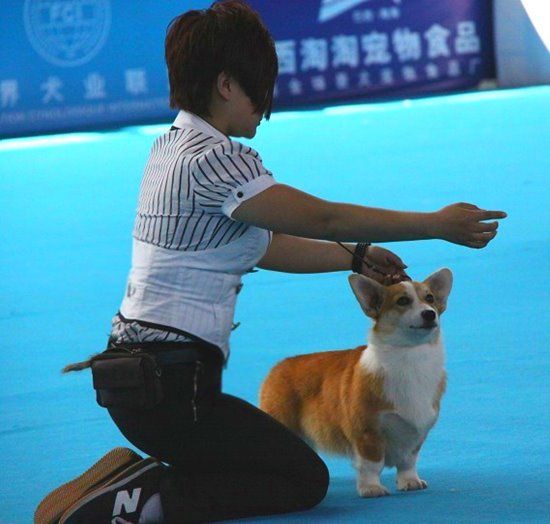 小尾巴3.jpg