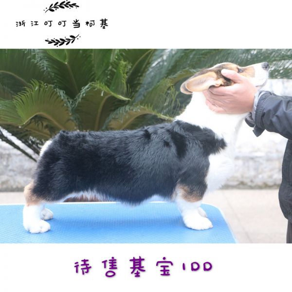 IMG_0431_副本.jpg