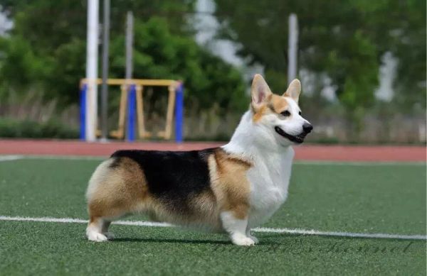 IMG_0221_副本.jpg