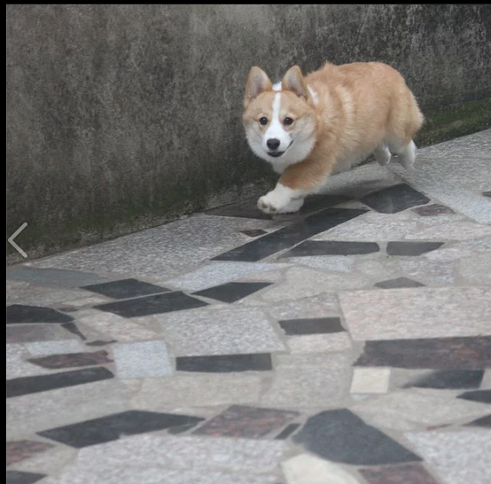 1.png