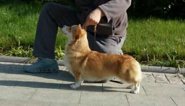QQ图片20170211183139.jpg