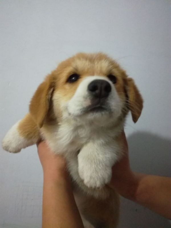 QQ图片20170216200520.jpg