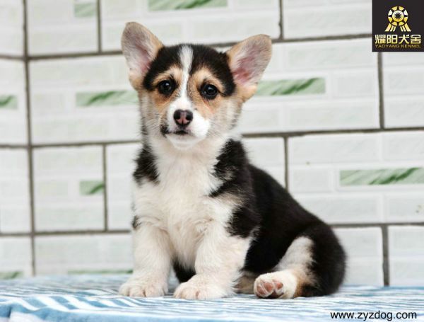 DSC_4156_副本.jpg