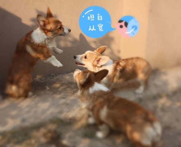 92675