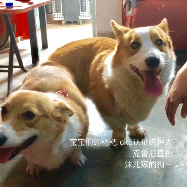 webwxgetmsgimg (5).jpg