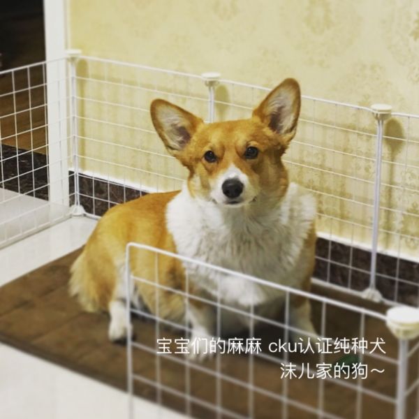 webwxgetmsgimg (6).jpg