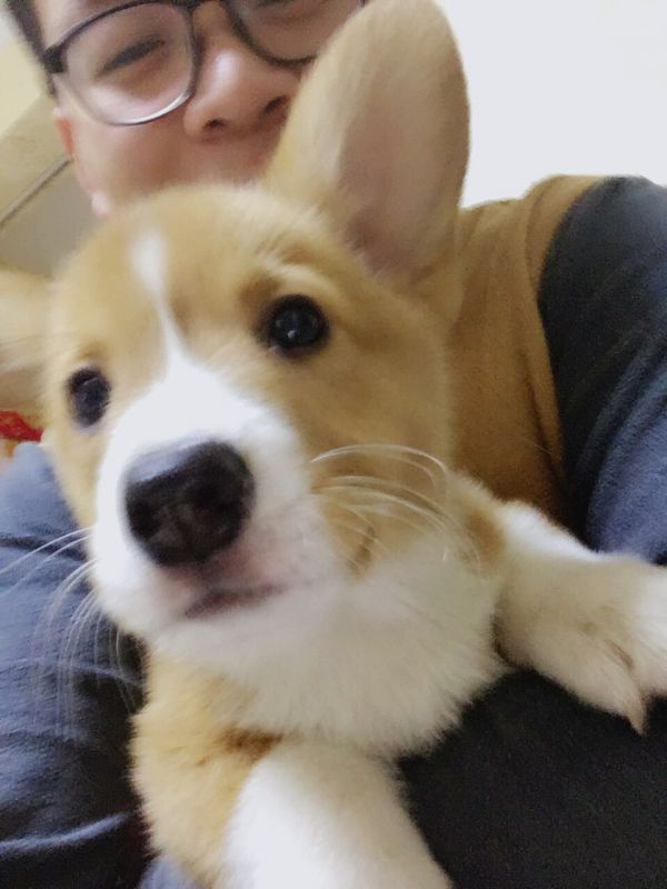 webwxgetmsgimg (1).jpg