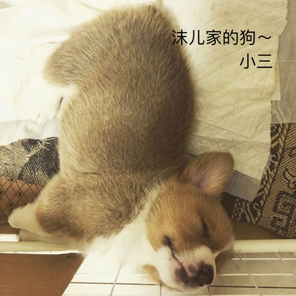 webwxgetmsgimg (3).jpg