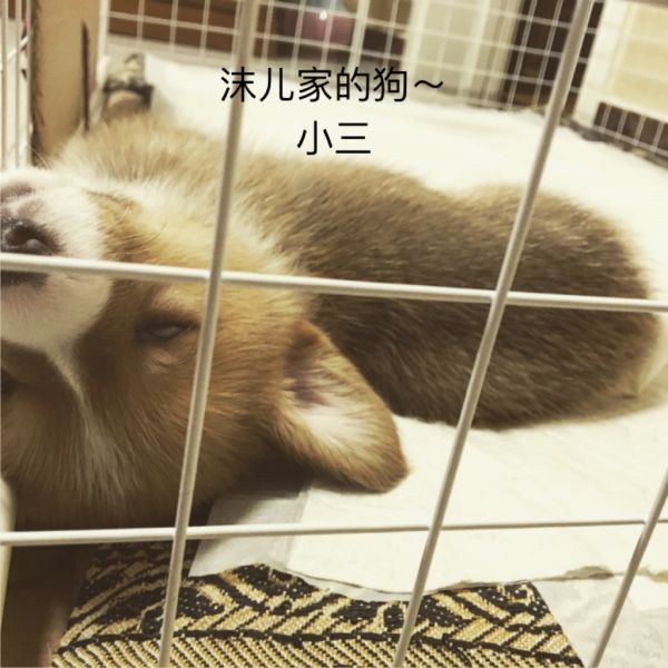 webwxgetmsgimg (4).jpg