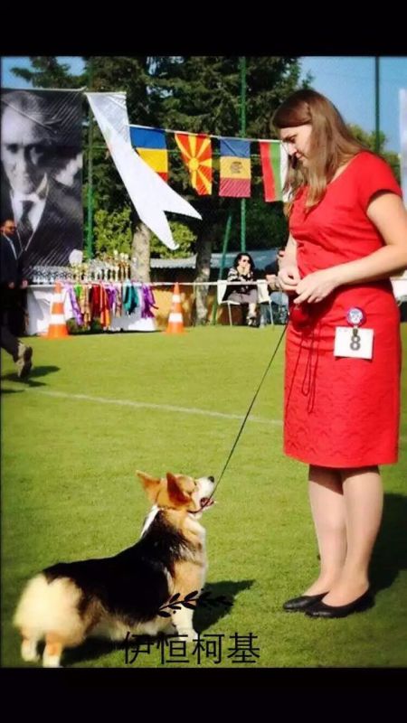T1.jpg