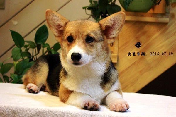 思思女儿4.jpg