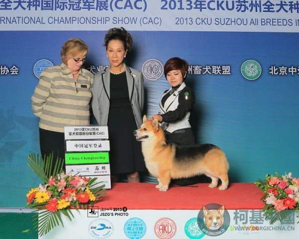 林肯.jpg