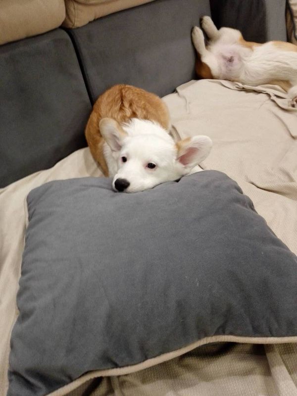 627931638890971666.jpg