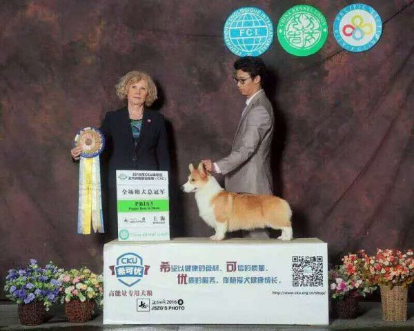 QQ图片20170220163116.jpg