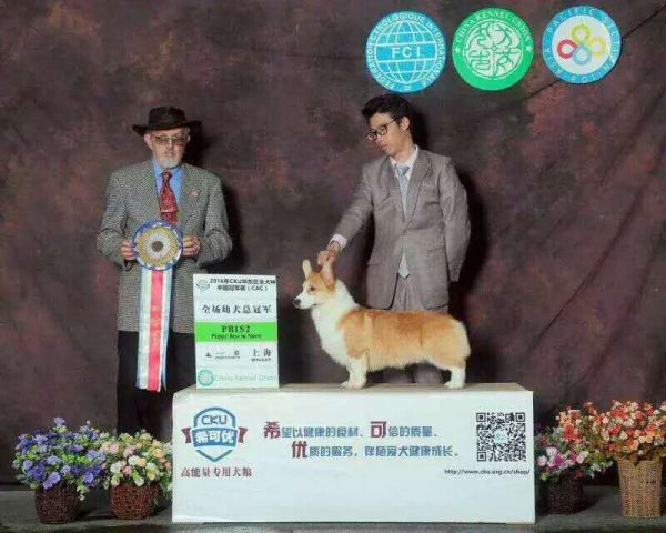 QQ图片20170220163103.jpg