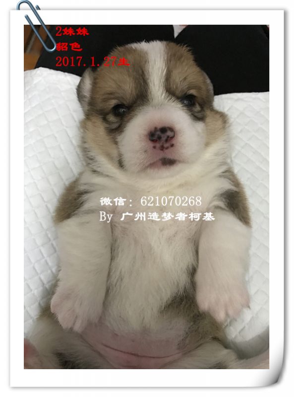 2妹妹.jpg