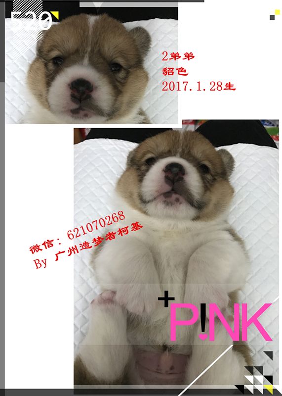 2弟弟.jpg