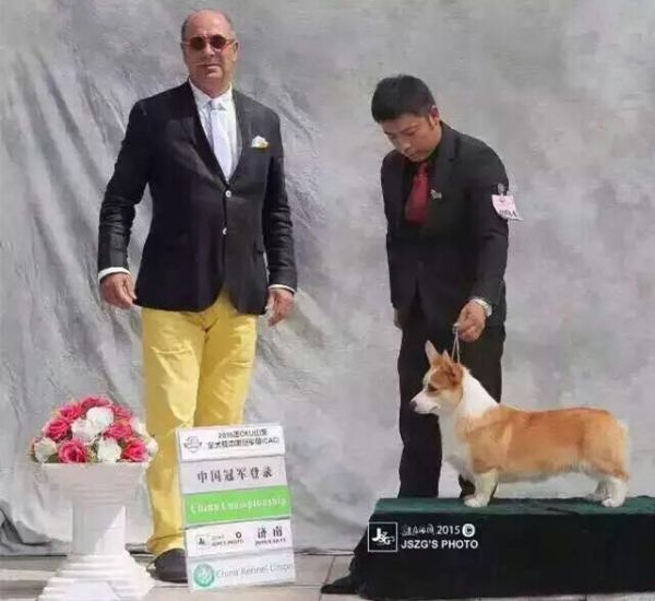 吉姆尼的获奖照片.jpg