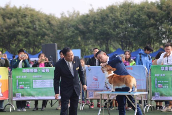 塞纳-3.jpg