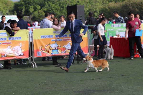 塞纳-1.jpg