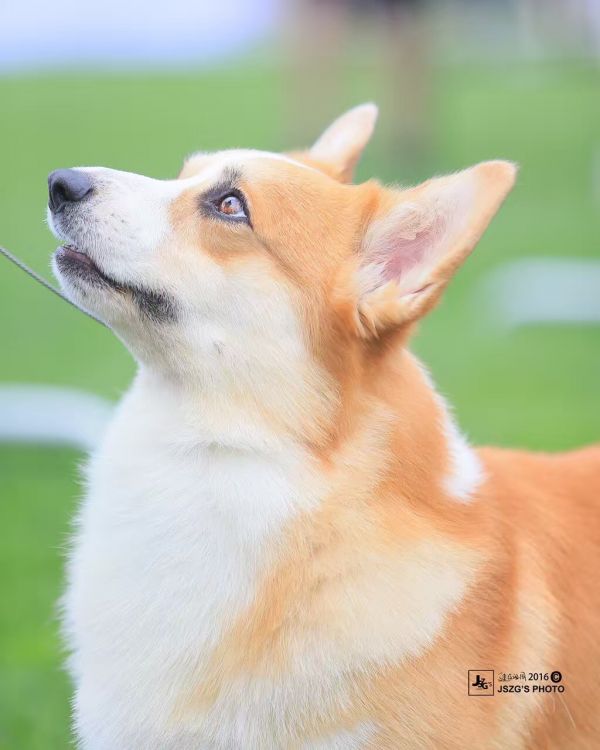 image.jpeg